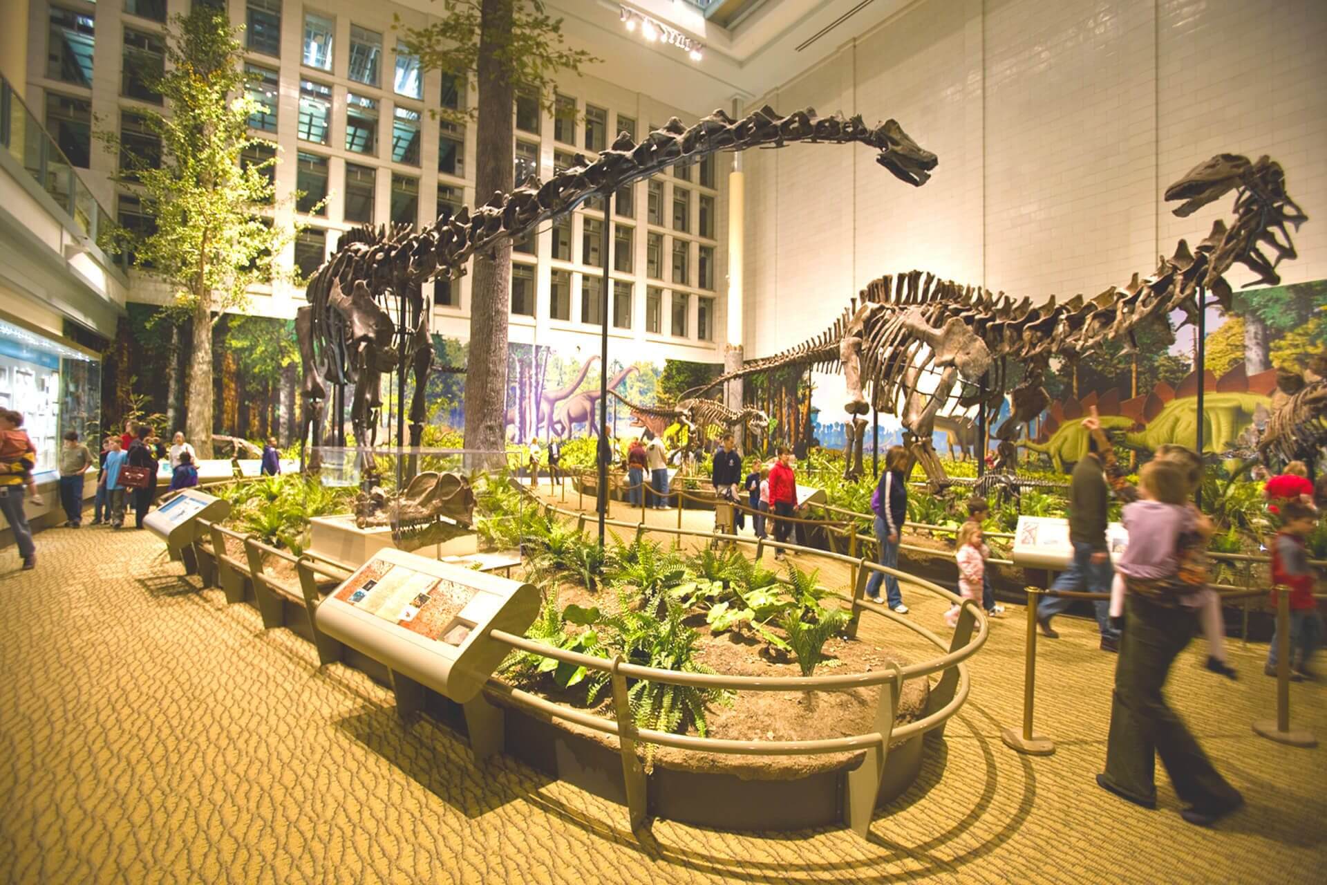 museum