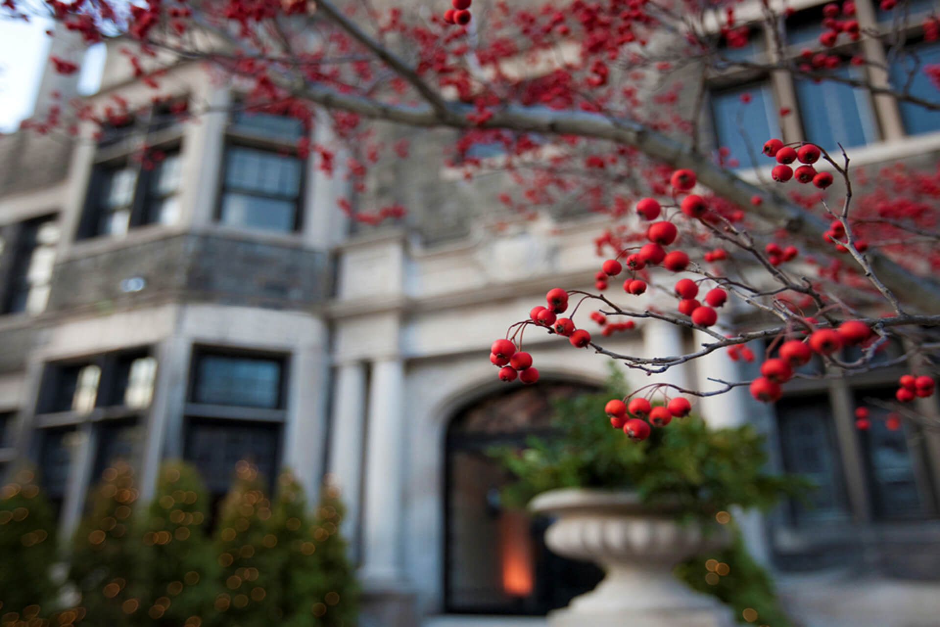 Red berries on a branch in front of a stone building.
