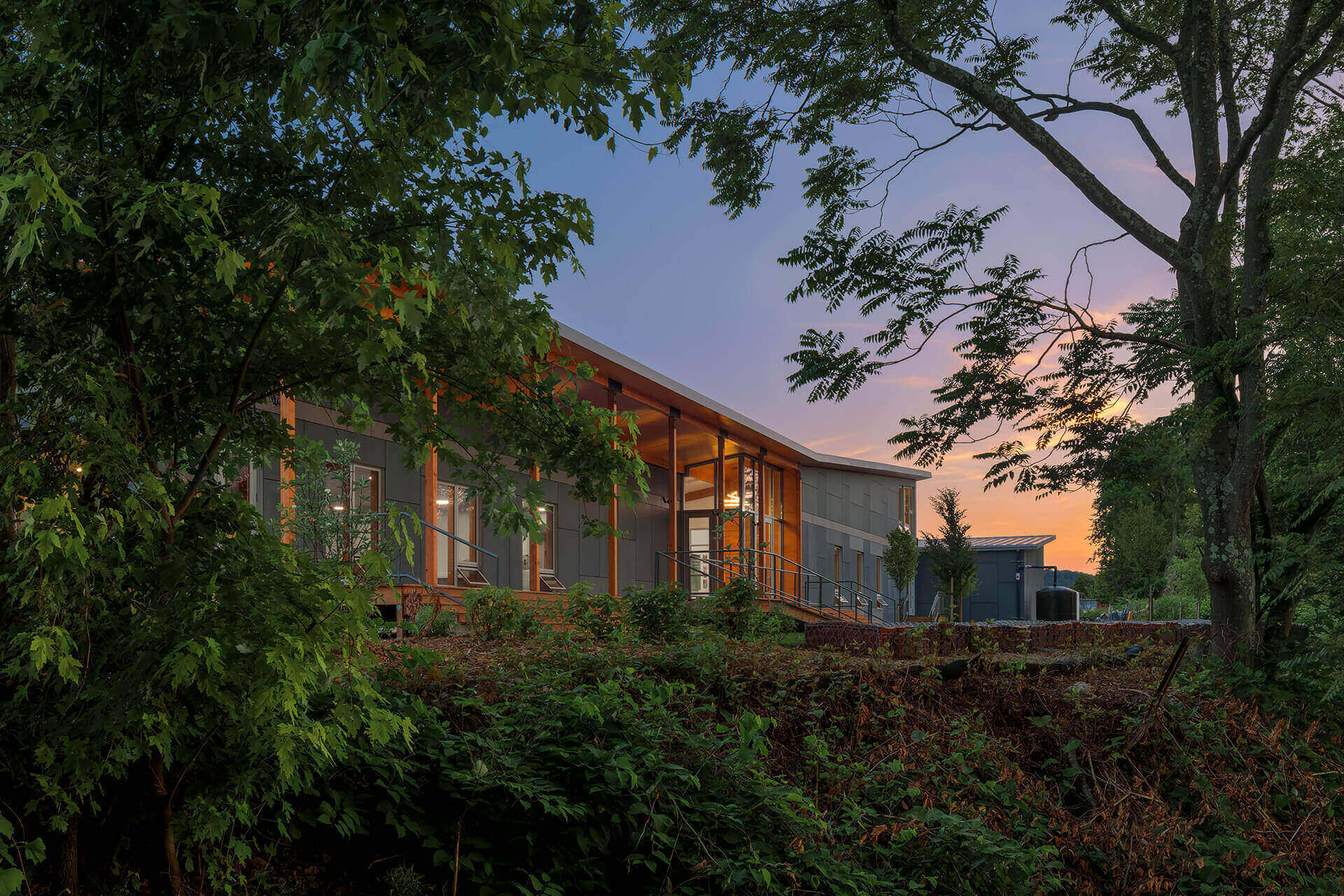 Modern house at sunset surrounded by greenery.